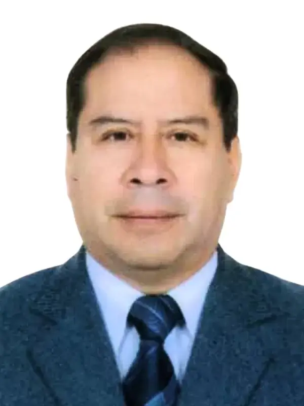 Luis Alfonso Meza Santibañez